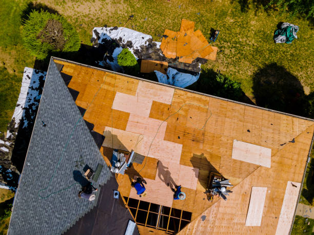 Best Metal Roofing Contractor  in Mokuleia, HI